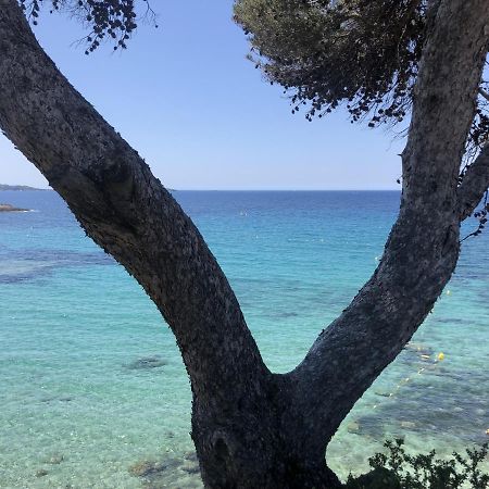 Appartement Les Baux 3 à Sanary-sur-Mer Extérieur photo